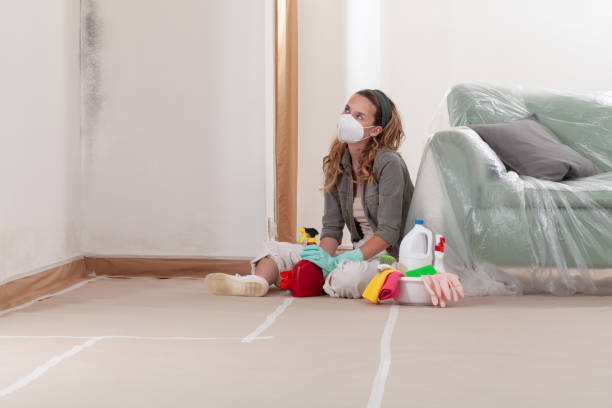 Reliable Mold Remediation contractor in Ingleside, TX by WQB Mold Removal